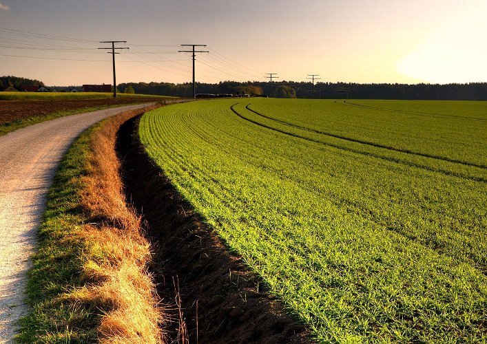 تمدید قرارداد اجاره ۸۸ طرح واگذاری اراضی ملی در خوزستان