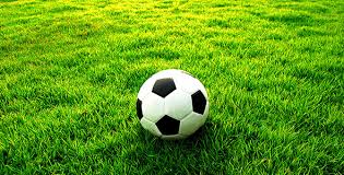 سخنگوی وزارت خارجه: هر کمکی جهت شرکت قدرتمند تیم ملی فوتبال در جام جهانی خواهیم کرد