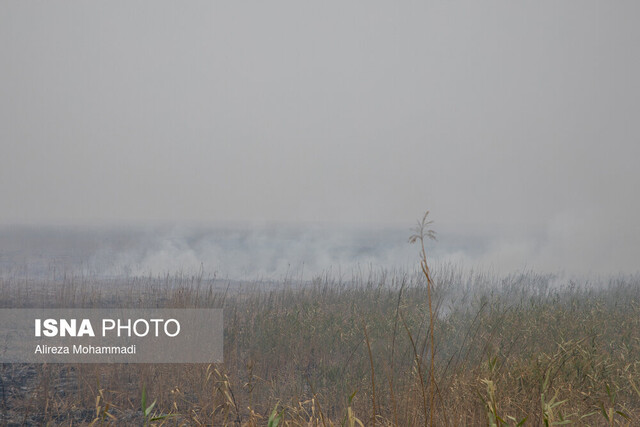 نماینده اهواز: تصمیم درباره هورالعظیم، شفاف به مردم گفته شود