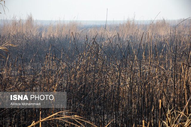 تغییر ساعت فعالیت مدارس و ادارات خوزستان تا پایان آبان بررسی می‌شود