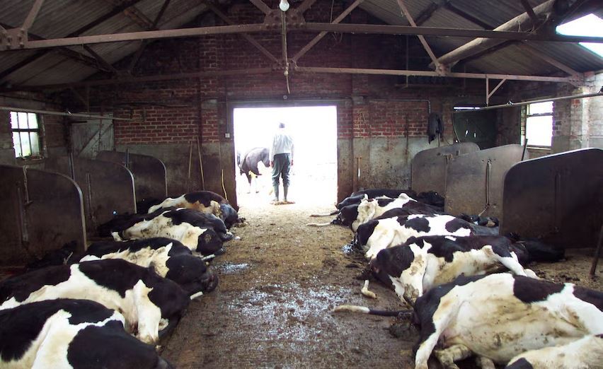 پیام خوزستان