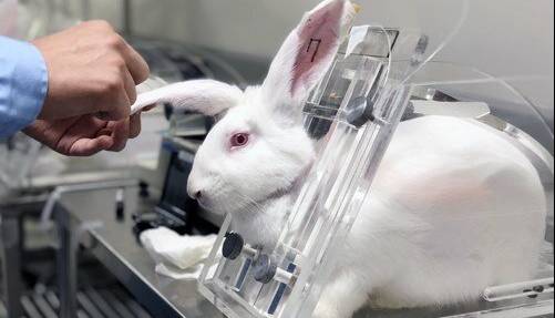 استفاده از روش‌های جایگزین حیوانات آزمایشگاهی، هزینه و زمان تحقیقات را کاهش می‌دهد