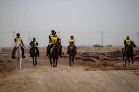 مشخص شدن نفرات برتر چهارمین دوره مسابقات سوارکاری استقامت خوزستان