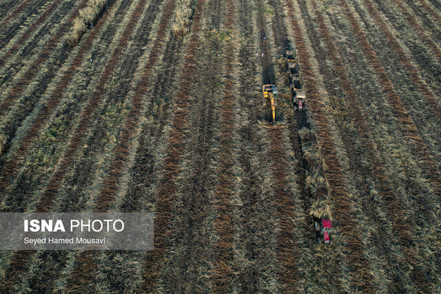 اهوازی‌ها ماهانه ۳ همت صرف تعویض فیلتر دستگاه‌های تصفیه آب می‌کنند!