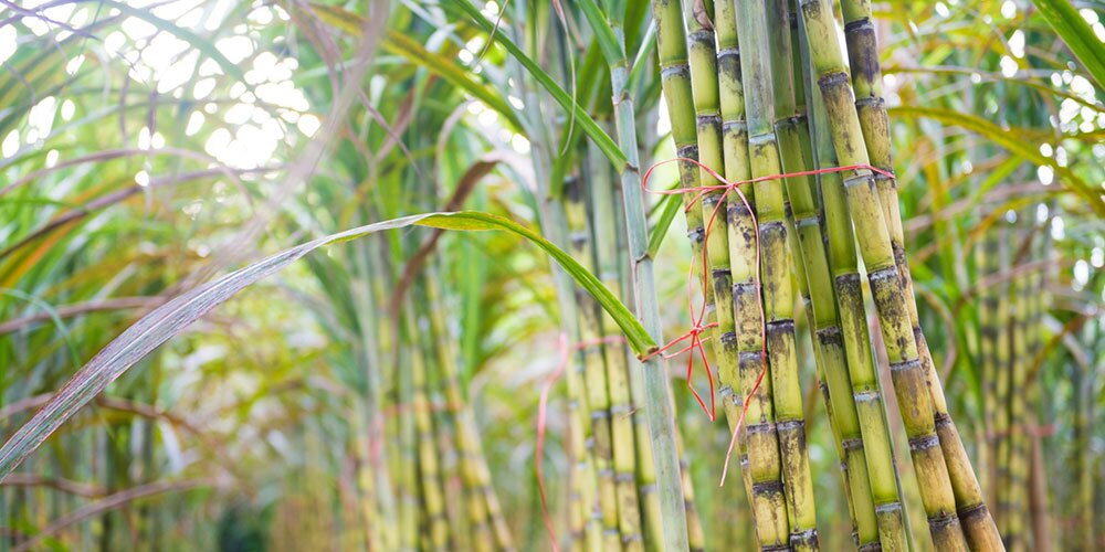 پیام خوزستان