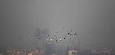 پیش بینی استمرار جو پایدار ، غبار صبحگاهی و مه در خوزستان