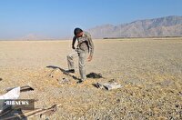 تخریب یک باب کوخه در اراضی حاشیه تالاب میانگران ایذه