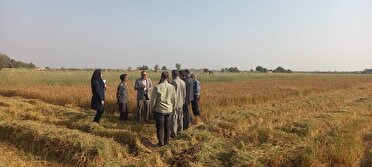 آسیب سوزاندن بقایای گیاهی به زمین و محیط زیست