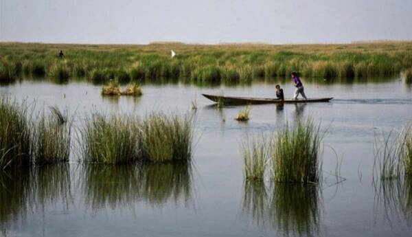 فرماندار: حقابه تالاب شادگان تأمین نمی‌شود