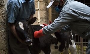 پیام خوزستان