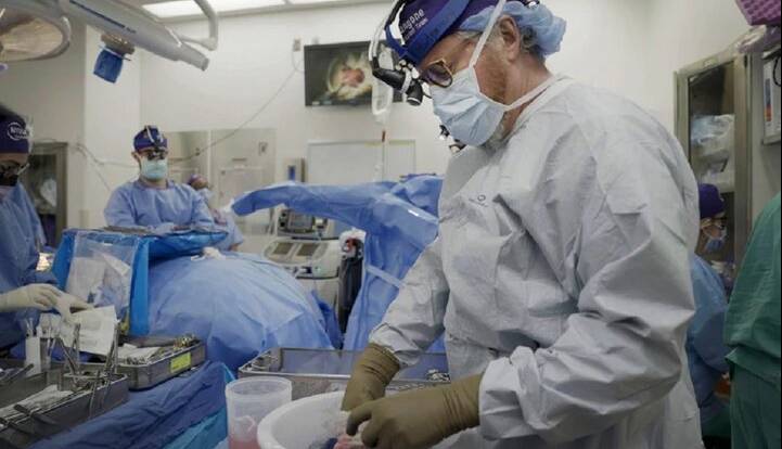 دانشمندان پس‌زدن پیوند اعضای خوک را مهار کردند