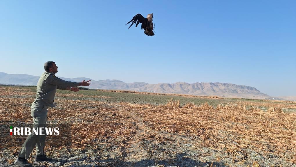 پیام خوزستان