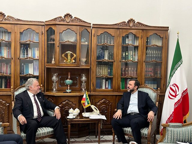 رایزنی غریب‌آبادی با یک مقام سازمان ملل