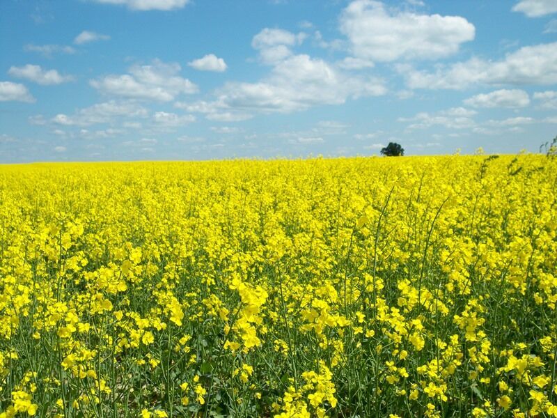 پیام خوزستان