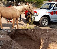 نجات اسب گرفتار شده در گل و لای توسط آتش‌نشانان دزفول