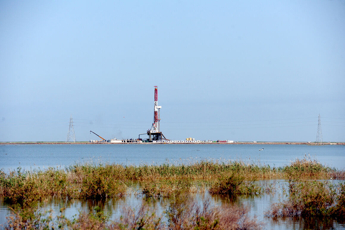 اراده طلایی در مه خاکستری