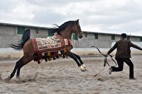 احداث پیست سوارکاری در باوی، نیازمند مصوبه شورای ورزش خوزستان