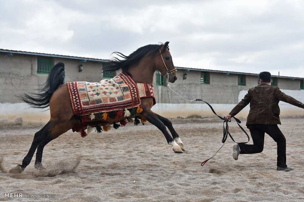 پیام خوزستان