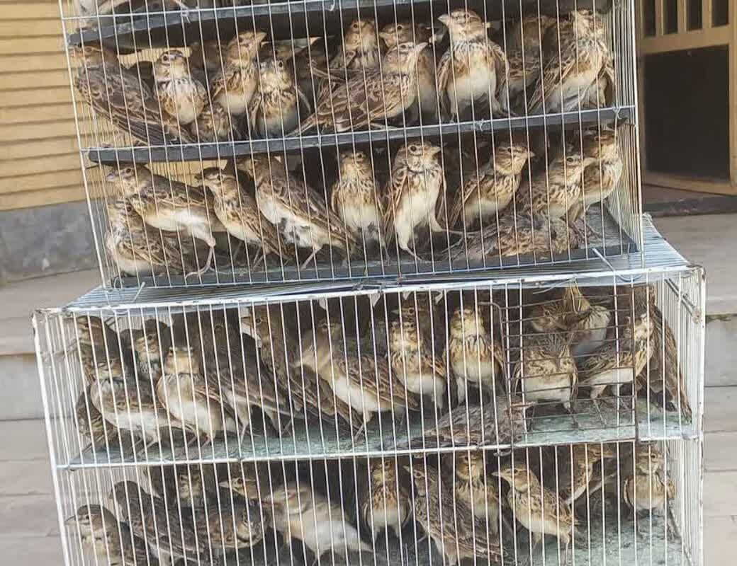 پیام خوزستان