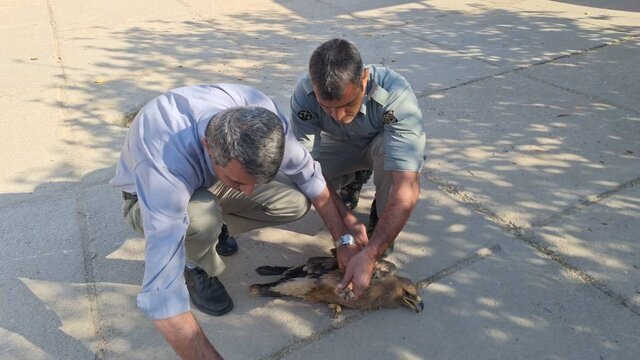 پیام خوزستان