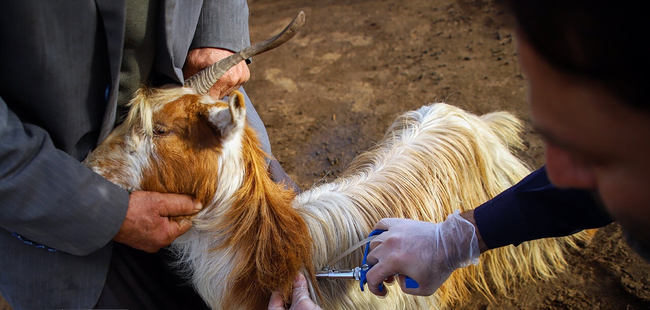 پیام خوزستان