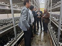 ممنوعیت صدور مجوز تغییرکاربری در اراضی مرغوب و حاصلخیز کشاورزی