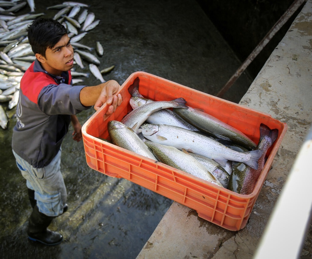 پیام خوزستان