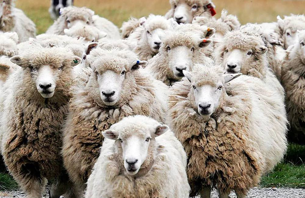 پیام خوزستان