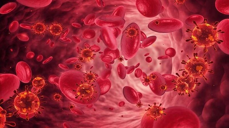 متخصص بیماری‌های داخلی: کم خونی، همیشه ناشی از کمبود آهن نیست