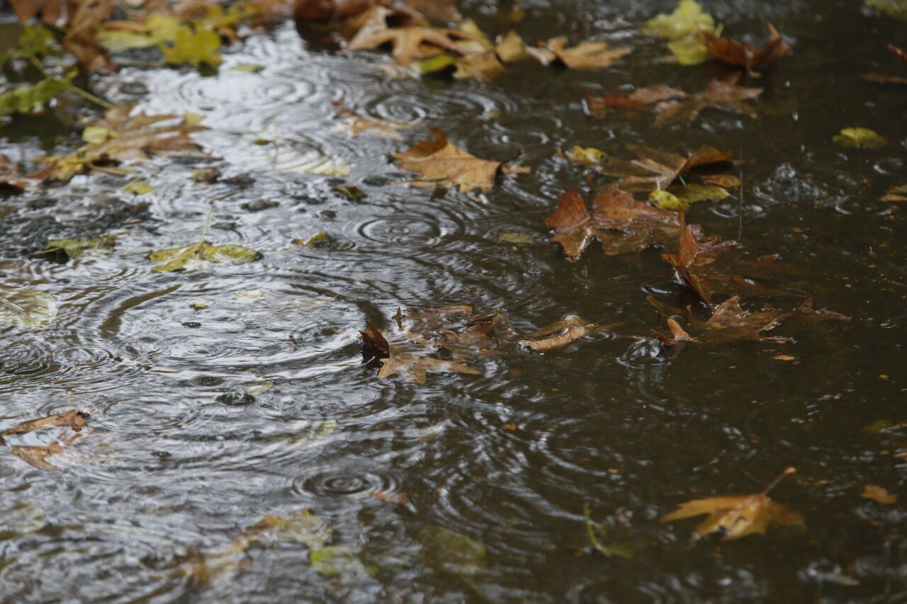 هشدار زرد هواشناسی خوزستان نسبت به فعالیت سامانه بارشی