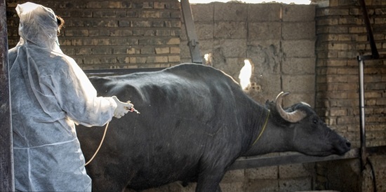 پیام خوزستان