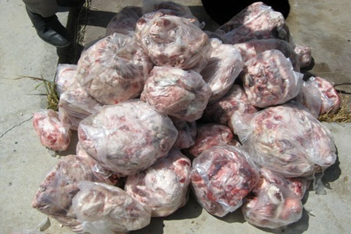کشف بیش از ۶ تن فرآورده خام دامی غیرقابل مصرف در ماهشهر