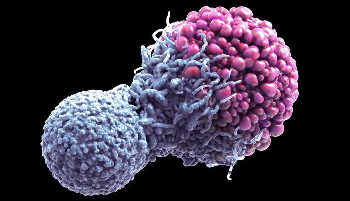 کشف مرگ سلولی می‌تواند به درمان سرطان کمک کند