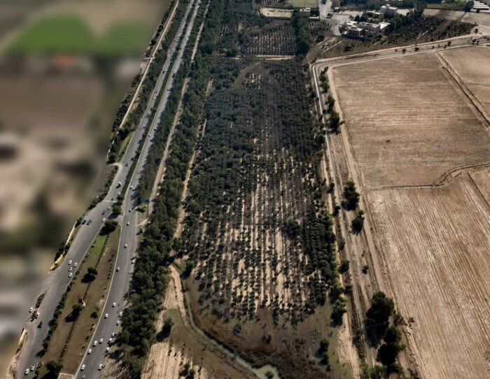 واگذاری باغ زیتون دزفول به شهرداری