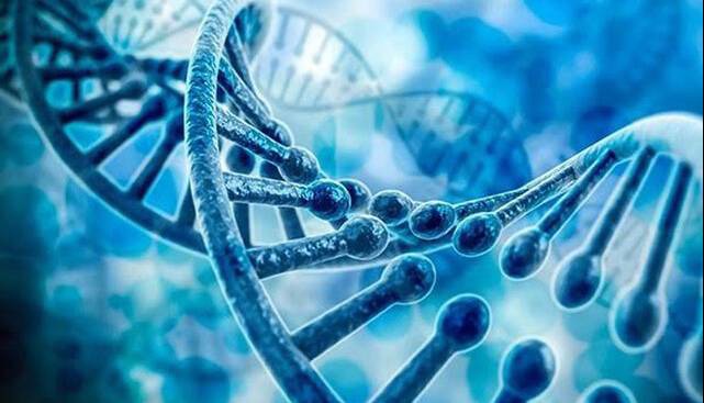 کشف یک جهش ژنتیکی که به بیماری‌های قلبی و عصبی منجر می‌شود