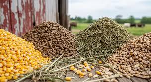 پیام خوزستان