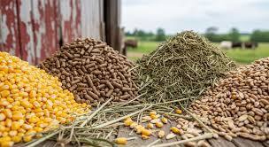 آغاز فعالیت کارگزار توزیع نهاده‌های کشاورزی در هندیجان