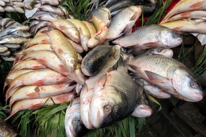 پیام خوزستان