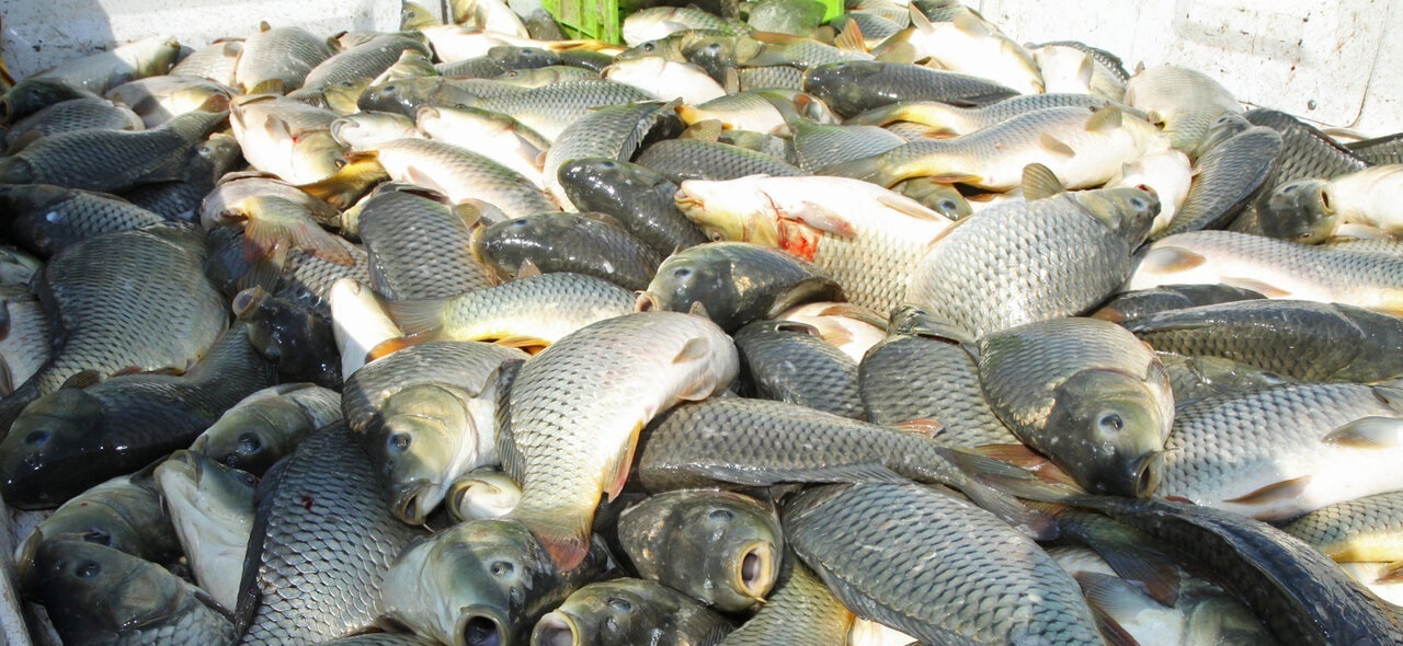 پیام خوزستان