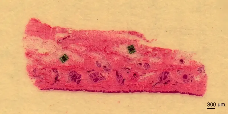 پیام خوزستان