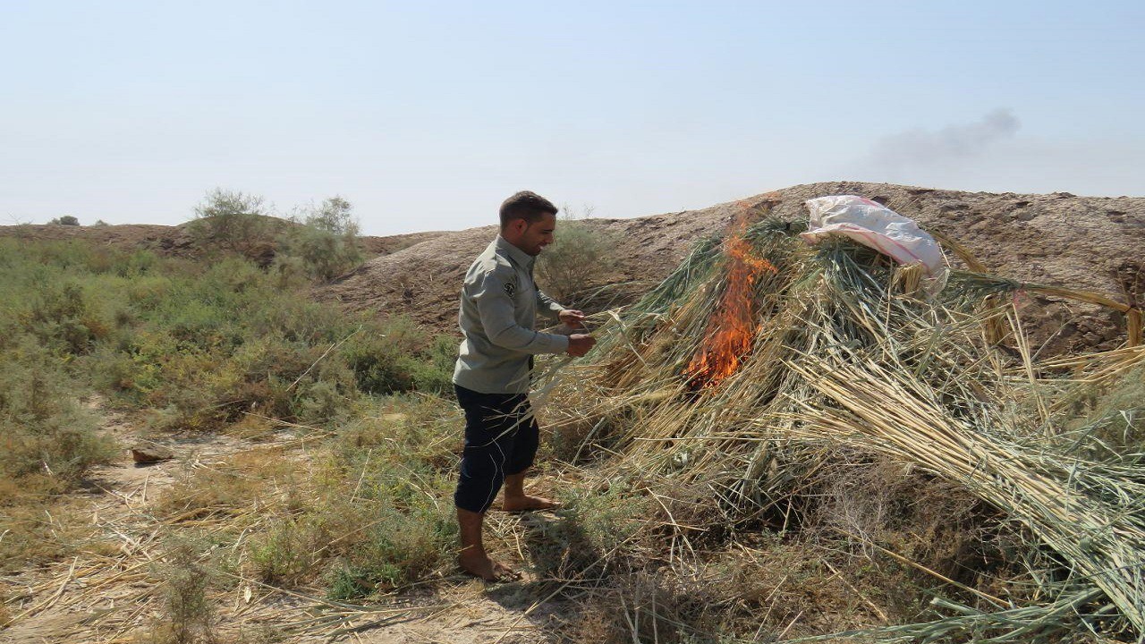 تخریب محمیه‌های صید غیرقانونی پرندگان مهاجر در بامدژ