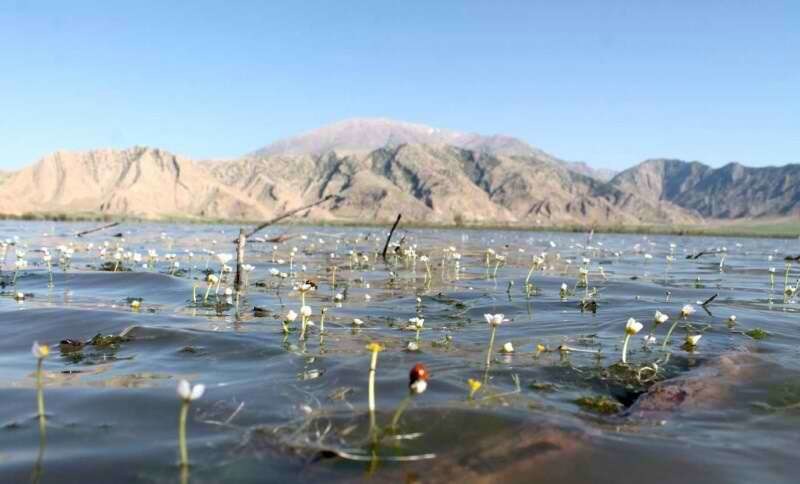 درگیری شکارچی متخلف با محیط‌بانان تالاب میانگران
