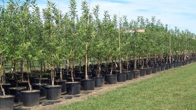 پیام خوزستان