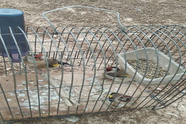 پیام خوزستان