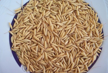 پیام خوزستان