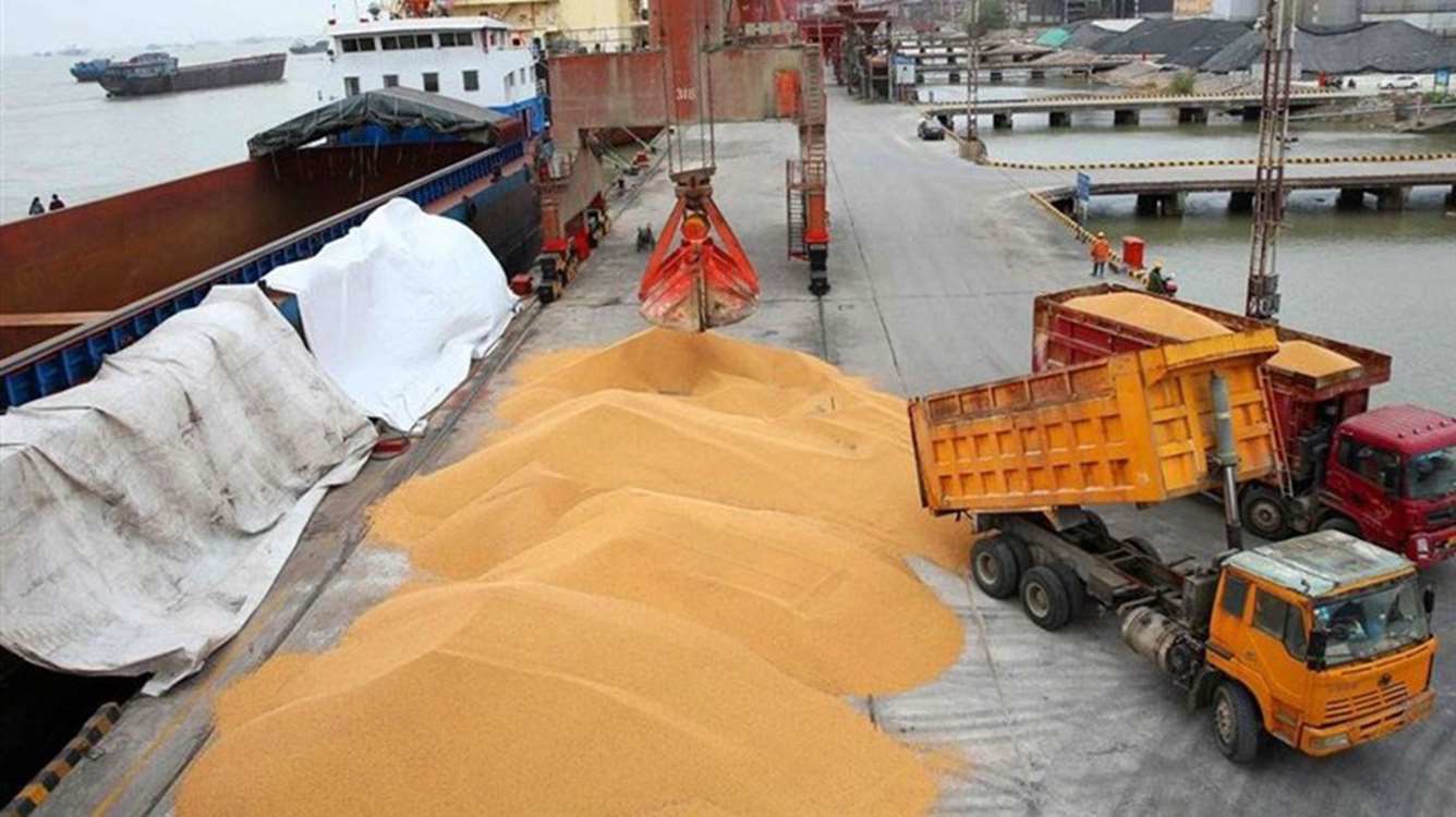 موجودی ۴.۴ میلیون تن نهاده دامی و کالای اساسی در بندر امام خمینی