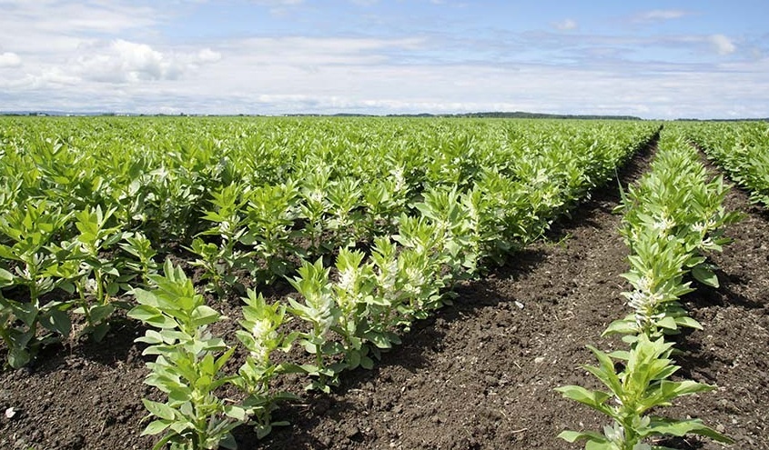 پیام خوزستان