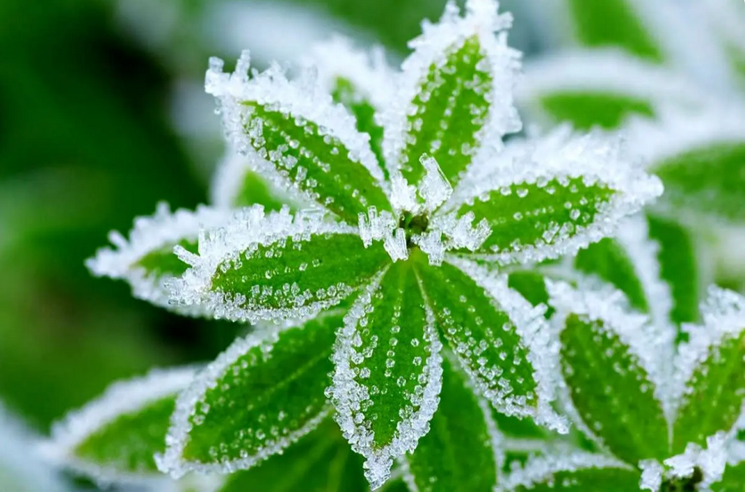 پیام خوزستان