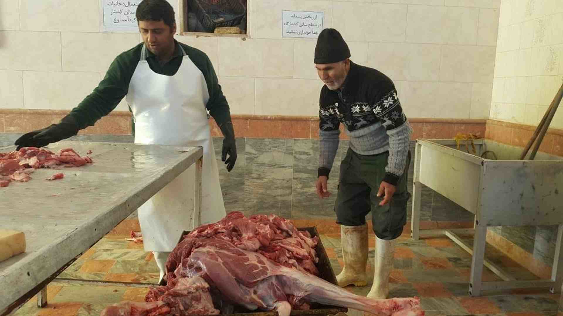 ضبط و معدوم‌سازی سه لاشه دام بیمار در کشتارگاه شوش با نظارت دامپزشکی