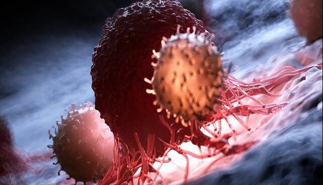 کشف پروتئینی که رشد سرطان را کُند می‌کند